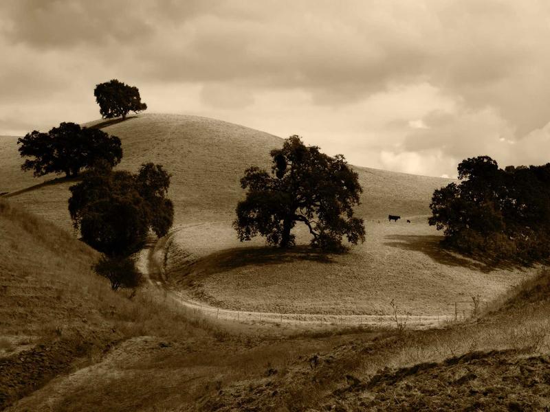 sudoku auto notes screenshot 3